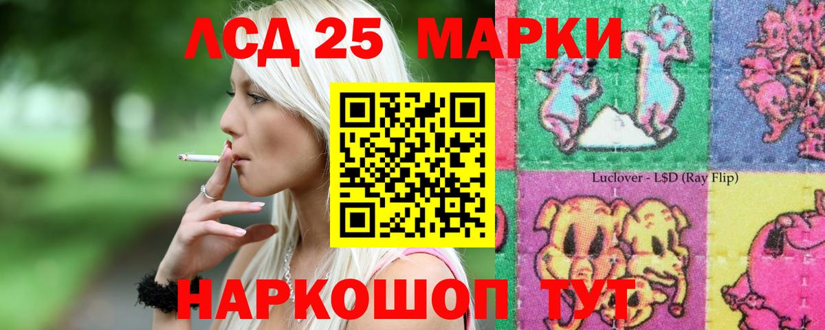 Калининград  Вход с VPN  МЕФ   ГАШ 