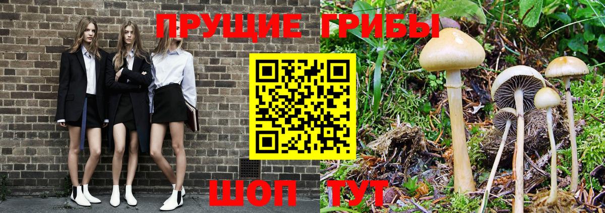 Галлюциногенные грибы мицелий  Вход с VPN  Галлюциногенные грибы ЛСД  Калининград 