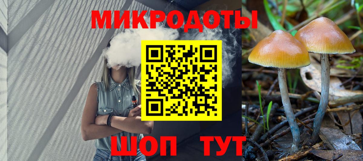 Псилоцибиновые грибы Magic Shrooms Калининград